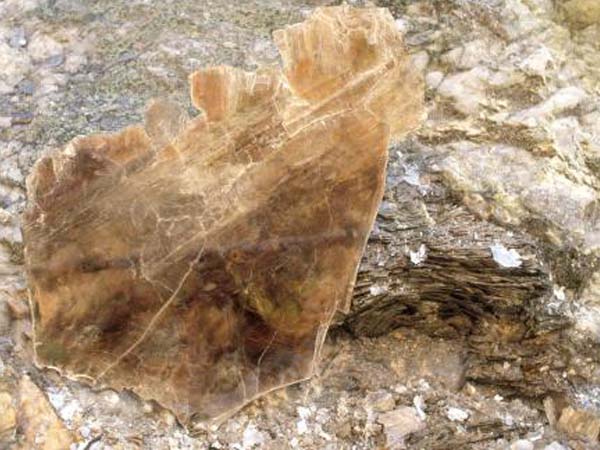 云母含鐵愈高時，顏色愈深，同時多色性和吸收性增強